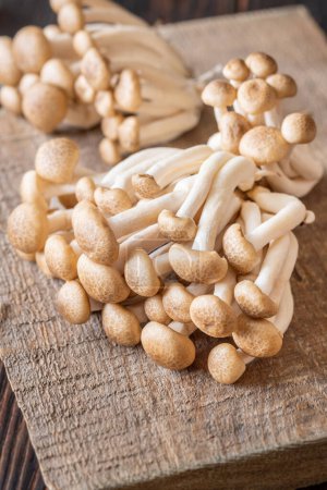 Bunch of Brown beech mushrooms on cutting board