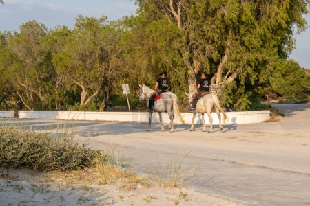 Téléchargez les photos : Kos, Grèce - 7 mai 2023 : Équitation dans la rue le long de Marmari et Tigaki Beach. Une attraction populaire sur l'île grecque de Kos - en image libre de droit