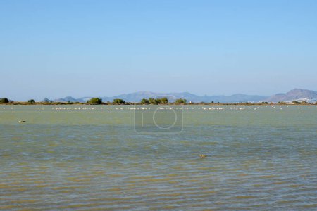 Téléchargez les photos : Lac salé Tigaki (Alykes) sur l'île de Kos. Grèce - en image libre de droit