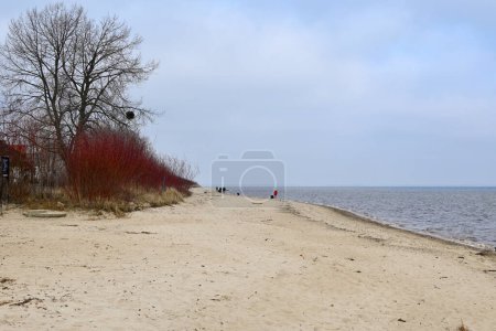 Plage de Rewa, une réserve naturelle située dans la zone du parc paysager du bord de mer dans le village de Rewa. Pologne