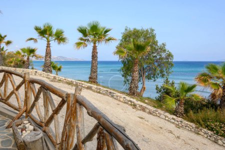 Téléchargez les photos : Palmiers poussant sur la plage Paradise, la plage la plus célèbre de l'île de Kos. Grèce - en image libre de droit