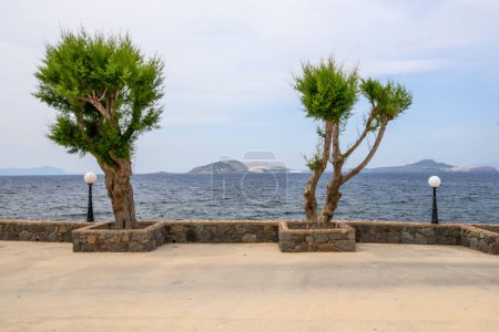 Tamarisk trees on promenade and sea view on Nisyros island. Greece