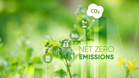 Netto-Null und CO2-neutrales Konzept. Netto-Null-Symbole im Grünen Wald mit Sonnenlicht. Netto-Treibhausgasemissionsziel Klimaneutrale langfristige Strategie auf grünem Hintergrund