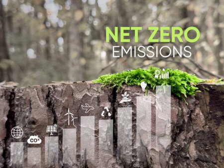 Téléchargez les photos : Concept zéro net et neutre en carbone. Icônes zéro net dans la forêt verte. Réduction du CO2. Objectif zéro émission nette de gaz à effet de serre Stratégie à long terme neutre sur le plan climatique sur fond vert - en image libre de droit