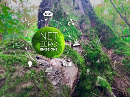Téléchargez les photos : Concept zéro net et neutre en carbone. Globe Vert avec Net zéro icônes Dans la forêt verte avec la lumière du soleil. Objectif zéro émission nette de gaz à effet de serre Stratégie à long terme neutre sur le plan climatique sur fond vert - en image libre de droit