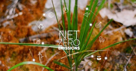 Photo for Net zero and carbon neutral concept. Net zero greenhouse gas emissions target. Climate neutral long term strategy. No toxic gases. Carbon neutral - Royalty Free Image
