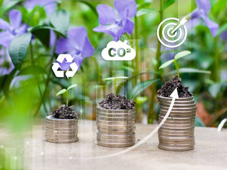 Photo for Reduce CO2 emission concept in the hand for environmental, global warming,Stacks of money with green plants. Sustainable development and green business based on renewable energy. CO2 reduce.2050 long term strategy - Royalty Free Image
