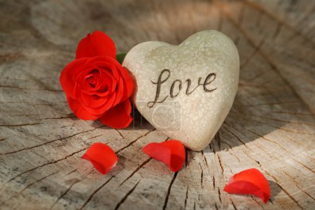 Foto de Rosa y el corazón sobre la tabla de madera, el fondo de San Valentín, el día de la boda, el día de las mamás. Flor roja. - Imagen libre de derechos