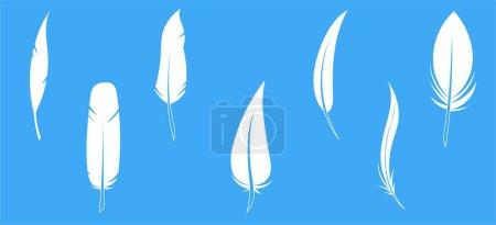 Set of black feather in a flat style. Set of bird feather. Pen vector icons. Black quill feather silhouette. . Vector illustration