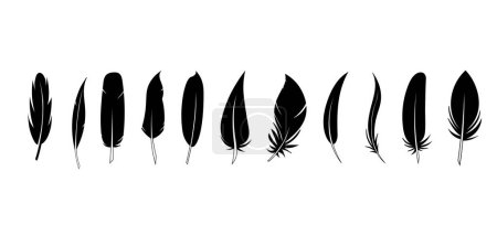 Set aus schwarzen Federn im flachen Stil. Vogelfeder vorhanden. Federvektorsymbole. Schwarze Federkiel-Silhouette. . Vektorillustration