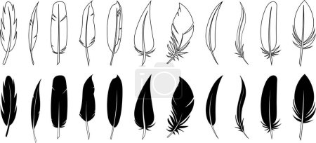 Ilustración de Set de plumas negras en estilo plano. Juego de plumas de pájaro. Iconos vectoriales. Silueta de plumas de pluma negra. .. Ilustración vectorial - Imagen libre de derechos