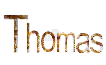 Téléchargez les photos : Nom Thomas en anglais entouré de fond blanc - en image libre de droit