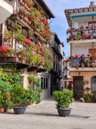 Photo for Street with flowers in the south of Spain in a sunny day - Royalty Free Image