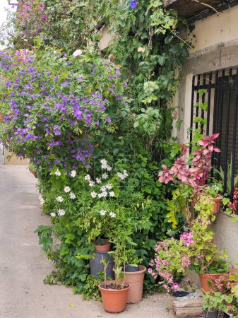 Photo for Street with flowers in the south of Spain in a sunny day - Royalty Free Image