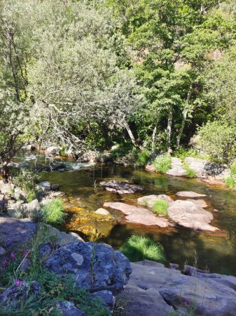 Fluss in den Bergen an einem sonnigen Tag im Zentrum Spaniens