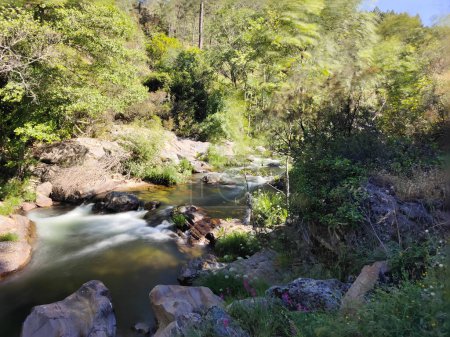 Photo for River in the mountains in a sunny day in the center of Spain - Royalty Free Image
