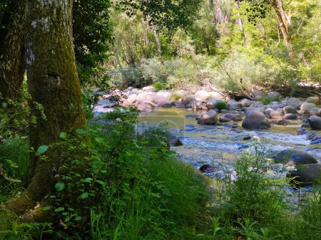 Rivière dans les montagnes par une journée ensoleillée dans le centre de l'Espagne