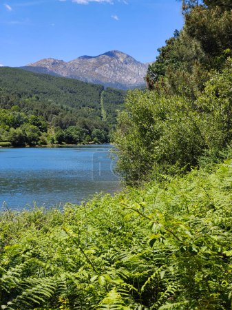 Lake in the center of Spain in a sunny day