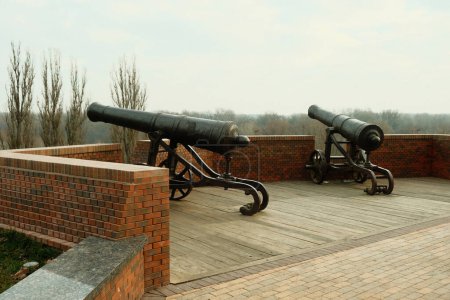 Téléchargez les photos : De vieux canons de fer dans le parc. Anciens canons vintage, mortiers, obusiers exposés dans le parc - en image libre de droit