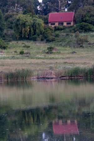 Photo for Dullstroom, South Africa - Millstream Farm in Mpumalanga province is a fly fishing and holiday venue - Royalty Free Image