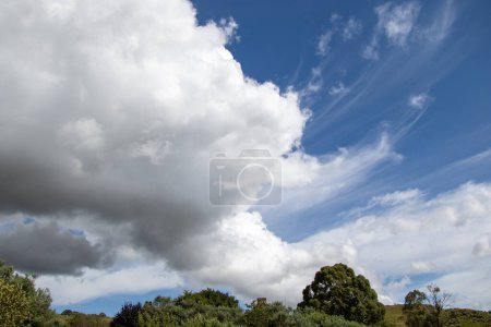 Photo for Large wind blown cloud above a green landscape - Royalty Free Image
