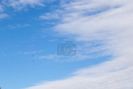 Photo for Three wind swifts and a small aircraft fly hifh in blue sky - Royalty Free Image