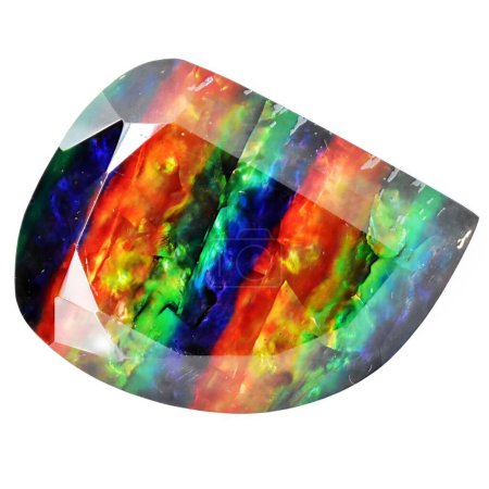 Photo for Natural gem iridescent ammolite isolated on white background - Royalty Free Image