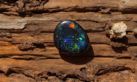 Téléchargez les photos : Gemme naturelle opale arc-en-ciel noir sur fond brun - en image libre de droit