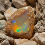 Natural gem black rainbow opal on brown background