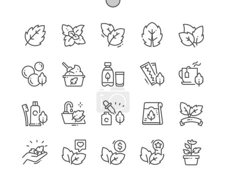 Illustration for Mint leaves. Natural herbal. Food shop, supermarket. Menu for cafe. Mint toothpaste. Pixel Perfect Vector Thin Line Icons. Simple Minimal Pictogram - Royalty Free Image