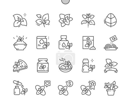 Oregano leaves. Spice. Food with oregano. Cooking, recipes and price. Food shop, supermarket. Pixel Perfect Vector Thin Line Icons. Simple Minimal Pictogram