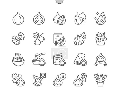 Illustration for Fig. Summer tropical fruit. Whole and half fig. Food shop, supermarket. Fig smoothie. Pixel Perfect Vector Thin Line Icons. Simple Minimal Pictogram - Royalty Free Image
