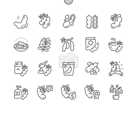 Illustration for Tamarind fruit. Tropical exotic food. Tamarind chutney. Shop, supermarket. Menu for cafe. Pixel Perfect Vector Thin Line Icons. Simple Minimal Pictogram - Royalty Free Image