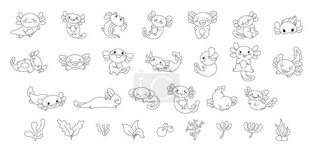 Ilustración de Axolotl lindo personaje kawaii. Plantas submarinas y algas. Página para colorear. Ilustración vectorial. Elementos de diseño colección. - Imagen libre de derechos
