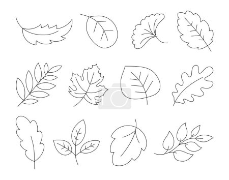 Illustration for Cartoon autumn leaves. Coloring Page. Hand drawn style. Botanical. Vector drawing. Collection of design elements. - Royalty Free Image