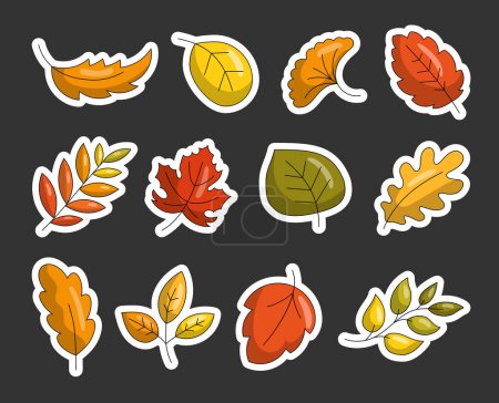 Illustration for Colorful cartoon autumn leaves. Sticker Bookmark. Hand drawn style. Botanical. Vector drawing. Collection of design elements. - Royalty Free Image