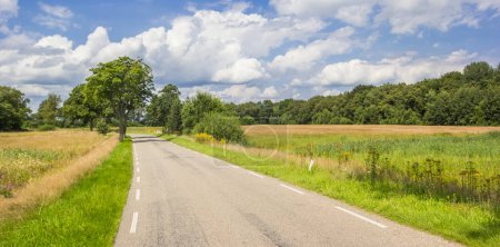 Panorama of a road through the nature area of Balloerveld, Netherlands