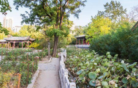 Walking path trough the garden of the Renmin park in Tianjin, China