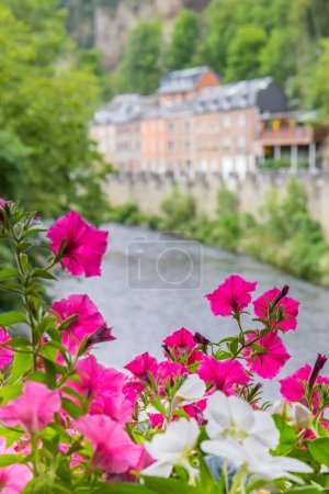 Bunte Blumen auf der Brücke über den Fluss Ourthe in La Roche-en-Ardenne, Belgien