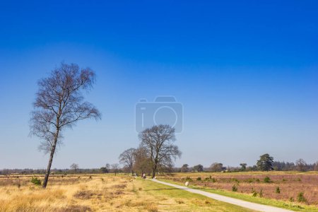 Radweg durch den Nationalpark Drents-Friese Wold, Niederlande