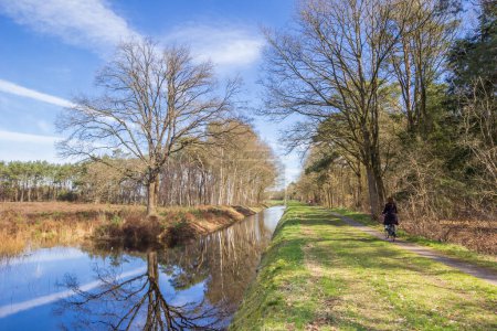 Menschen mit dem Fahrrad im Wald des Naturgebietes Drents-Friese Wold, Niederlande