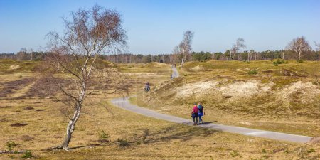 Spaziergänger durch die Dünen des Nationalparks Drents-Friese Wold, Niederlande