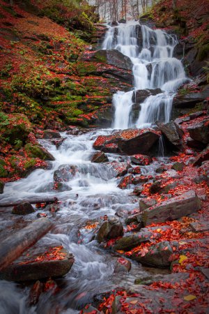 Photo for A waterfall in a beech autumn forest. Carpathians, Ukraine. - Royalty Free Image