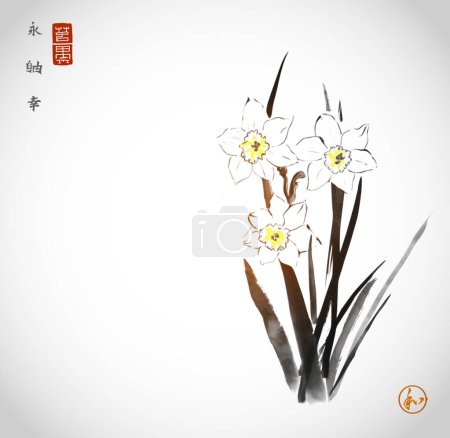 Illustration for Elegant sumi-e ink wash painting of daffodils. Traditional oriental ink painting sumi-e, u-sin, go-hua. Hieroglyphs - eternity, freedom, happiness, harmony. - Royalty Free Image