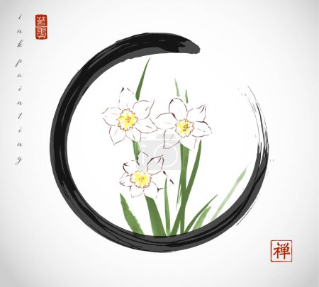 Illustration for Daffodile flowers in black enso zen circle on white background. Traditional oriental ink painting sumi-e, u-sin, go-hua. Translation of hieroglyph - zen. - Royalty Free Image