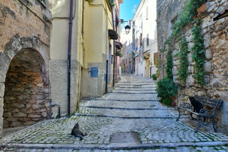 Téléchargez les photos : A narrow street in the historic center of Priverno, an old village in Lazio, not far from Rome, Italy. - en image libre de droit