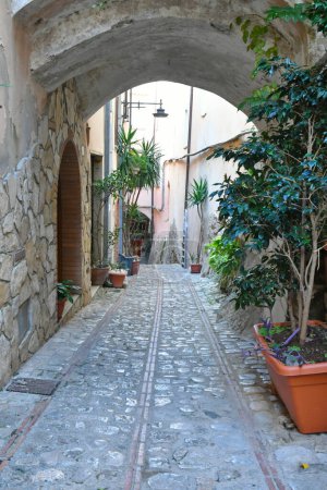 Téléchargez les photos : Une rue étroite entre les vieilles maisons du Monte San Biagio, un village médiéval dans les montagnes du Latium, Italie. - en image libre de droit