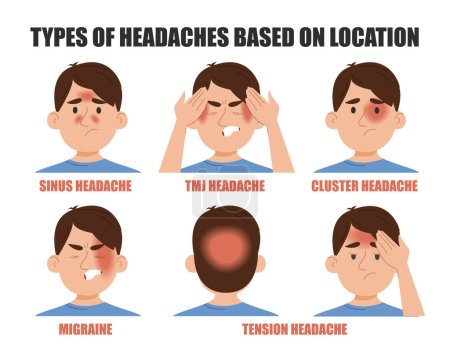 Types of headache based on location vector isolated. Pain in different areas of head. Migraine, sinus, cluster, tmj or tension headache. Man suffering from pain.