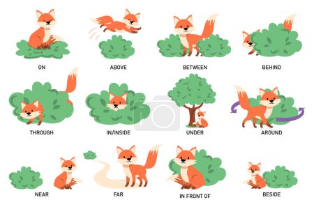 Learning English prepositions with a funny fox and green bush vector isolated. Animal character on and behind the bush. English language grammar.