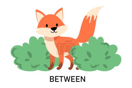 Englische Präpositionen lernen mit einem lustigen Fuchs und grünem Buschvektor isoliert. Tiercharakter steht zwischen zwei grünen Büschen. Niedlicher Rotfuchs.